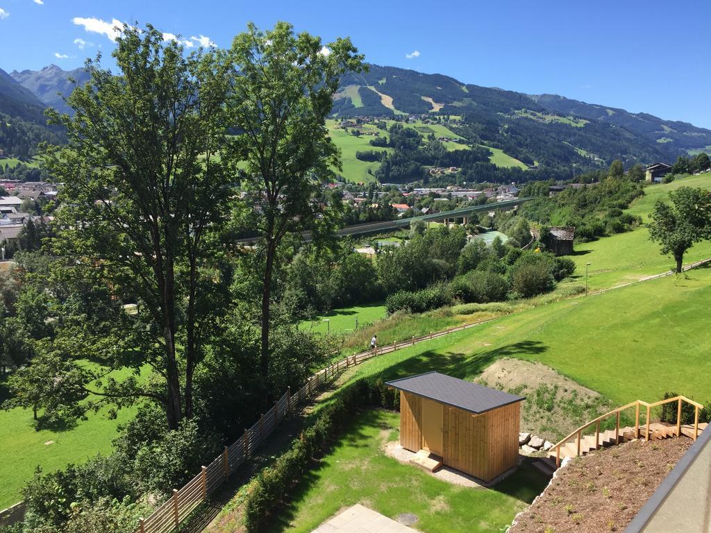 Haus Am Sonnenhang By Schladmingurlaub Apartment *